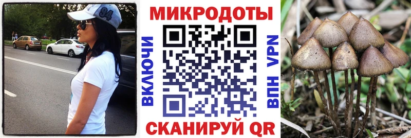 наркошоп  Меленки  Псилоцибиновые грибы Psilocybine cubensis 